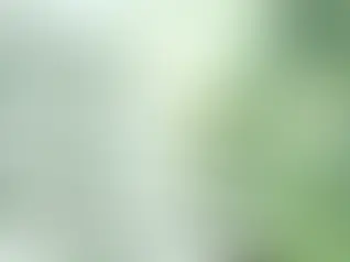 Investments of over 13.6 bln. euro for energy infrastructure modernization