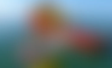 CRP Subsea protects Nordseecluster A cables