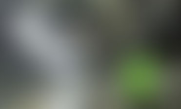 ILI files Balliemeanoch planning application