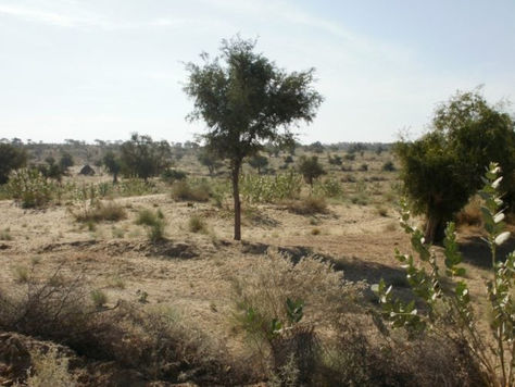 Oracle Power, China Electric Power planning 1.3GW solar-storage-wind project in Pakistan