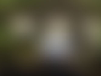 ‘Giving some of that forward vision’: the role of policy and market design in driving clean power investment