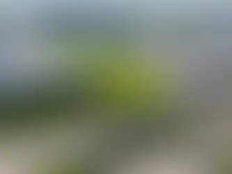 Tenaris: USD 500 mln. invested in 20 years in Romania, 97% of production exported