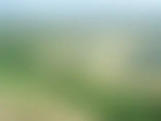 Spain’s Solaria to go land hunting for Repsol’s renewables