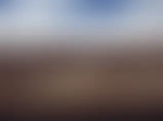 Element Resources to study Rio Tinto site in US for green H2 project