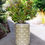 Thumbnail: Ceramic Pot/Vase/Home Décor