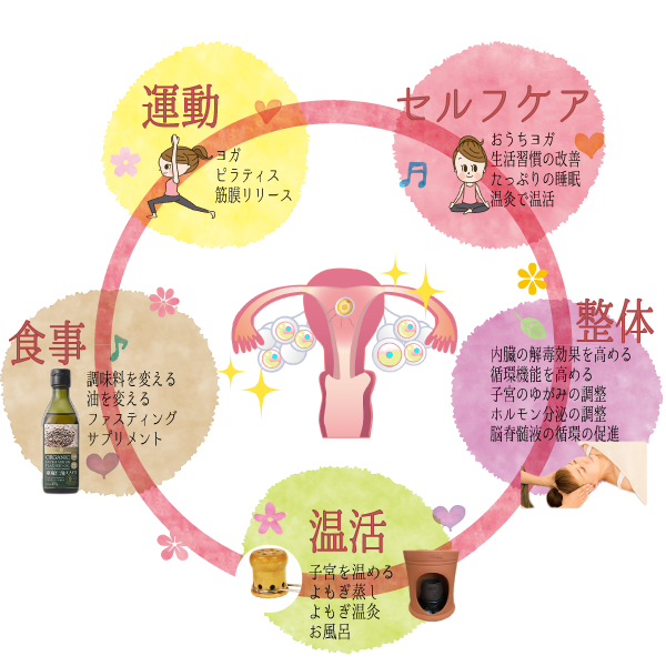 卵巣のアンチエイジング.png