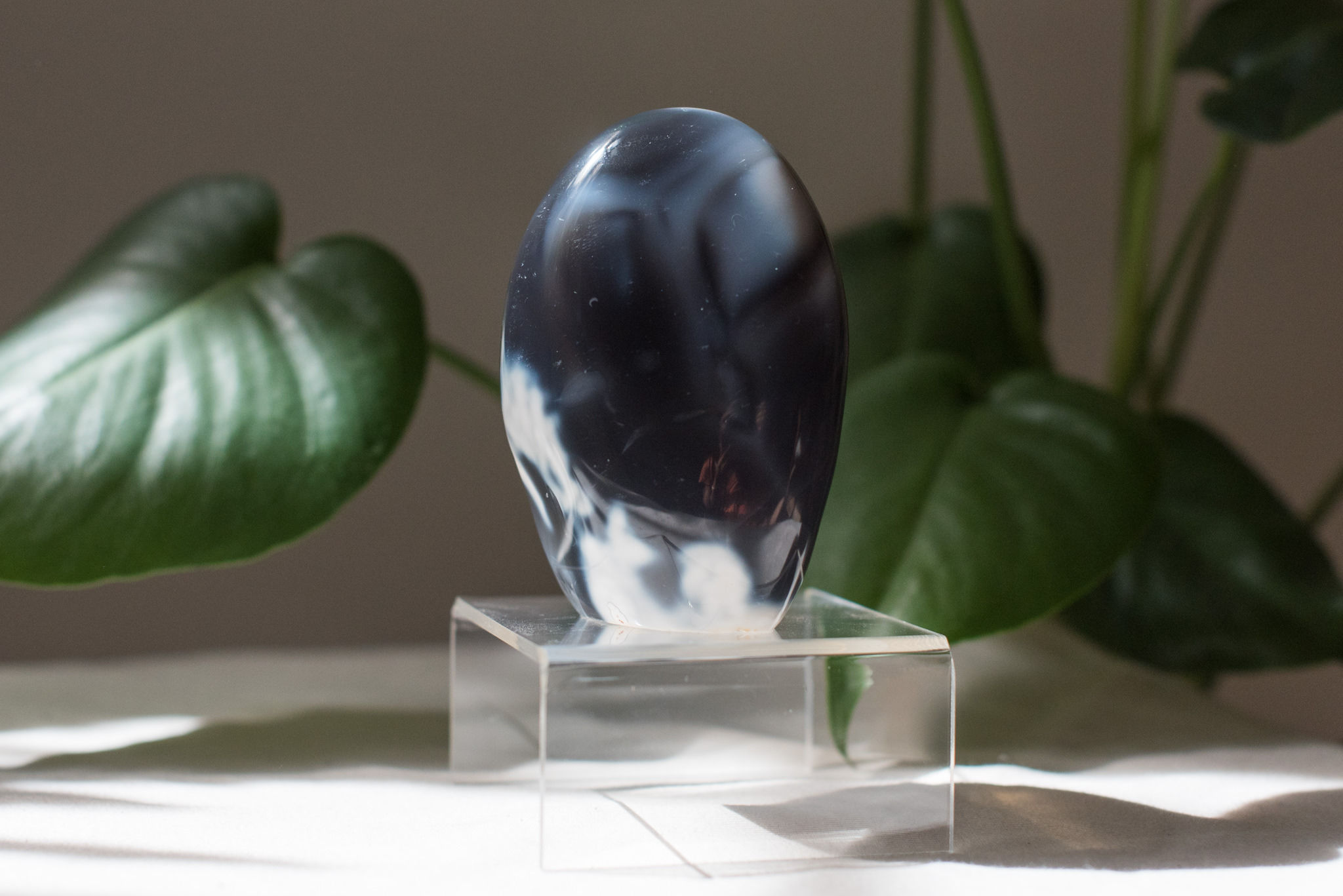 Blue (Orca) Agate Freeform