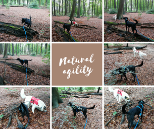 Natural agility