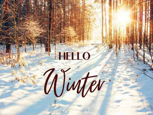 De winter in het land