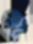 freepik__minimalist-and-organic-illustration-showing-a-calm__35780.png