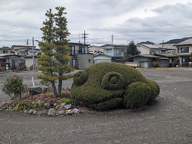 巨大カエル植木