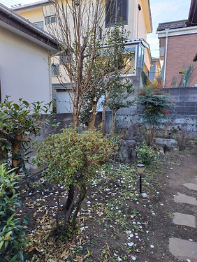 施工前①