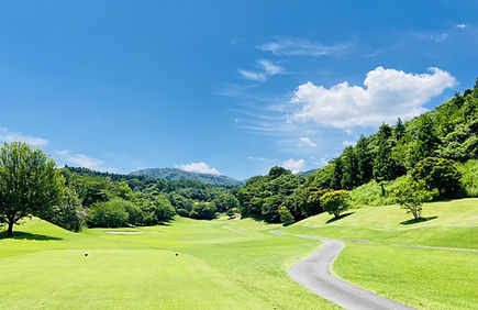 芝生・グランドカバー