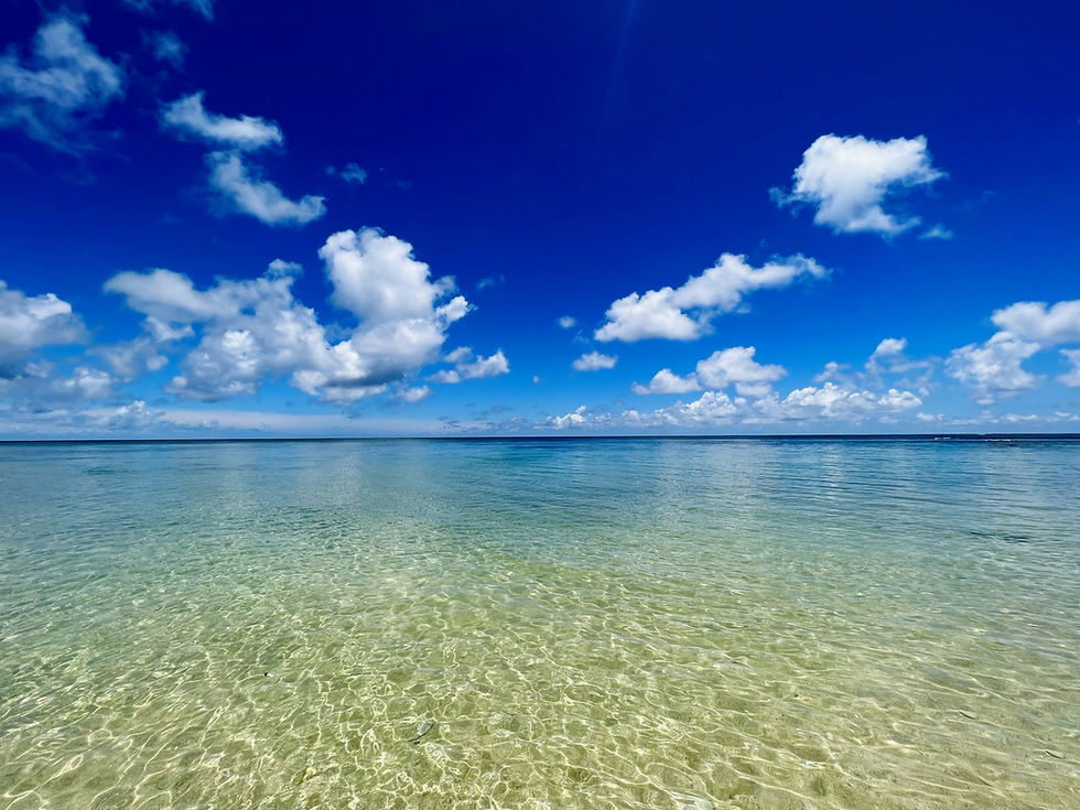 夏の海