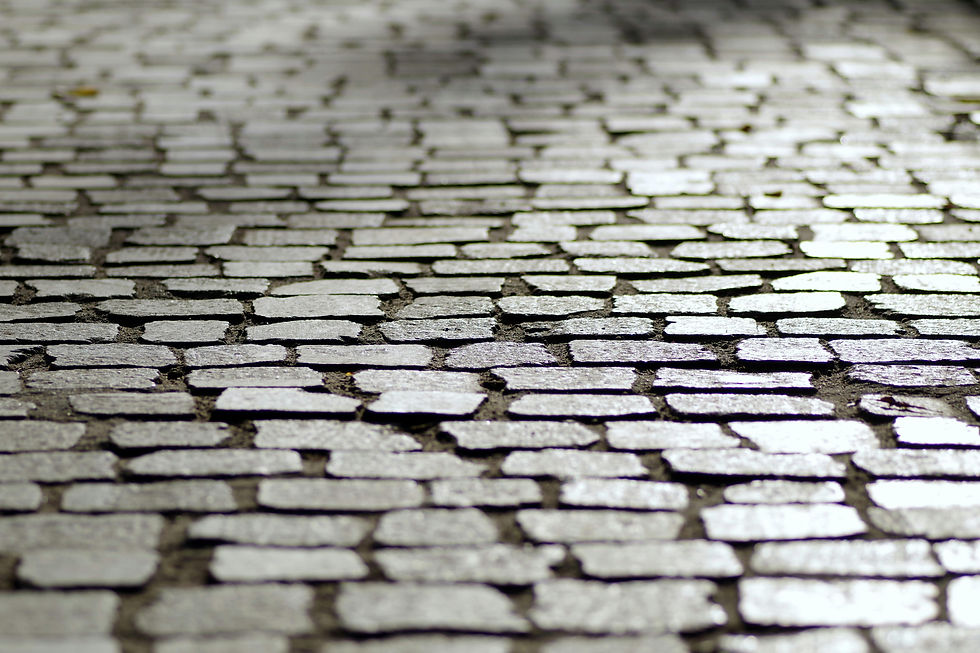 pexels-pixabay-207204.jpeg