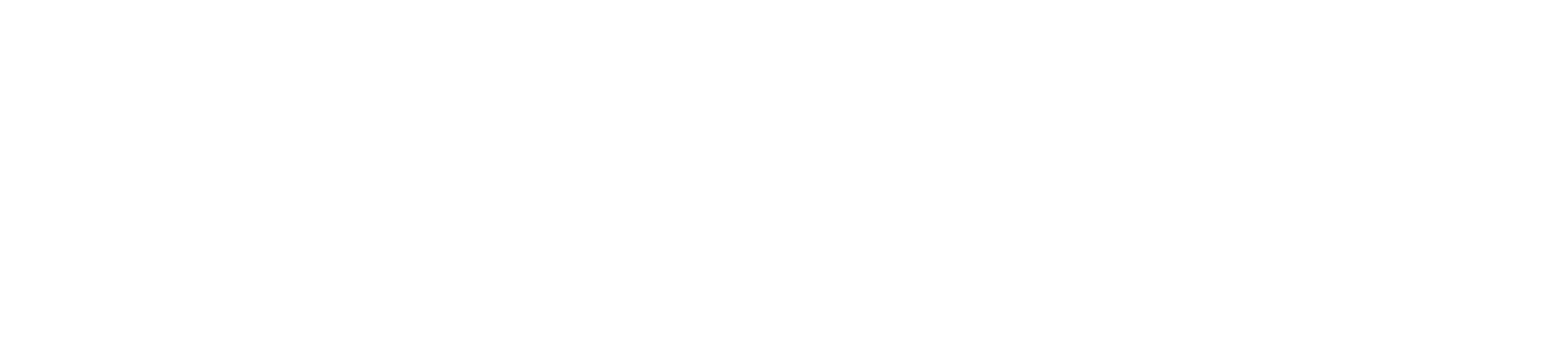 LS Logo white finalv2.png