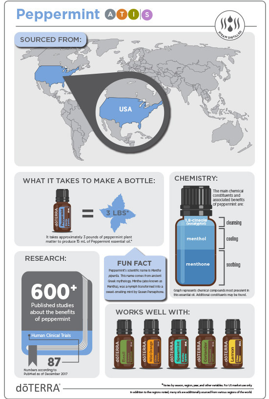 2x3-566x819-peppermint-inforgraphic-2.jp
