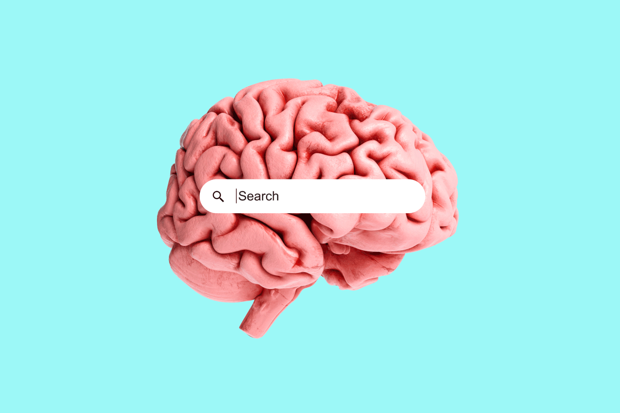 VRG_Illo_5308_K_Radtke_Memeai_Brain_Search.gif