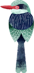 Bird 