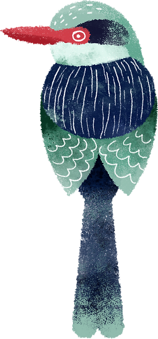 kuş