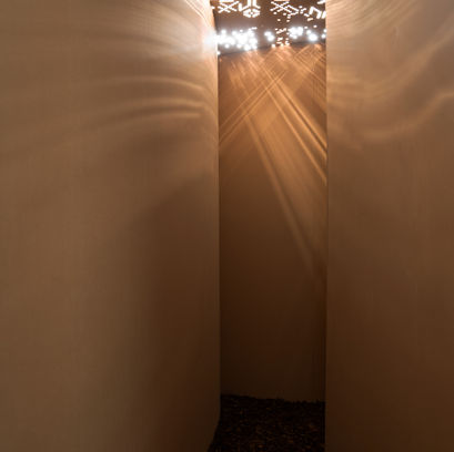 In Search of the Fern Flower: Graduation Project