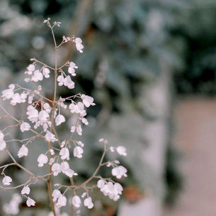 Dâng Chúa Điều Tốt Nhất