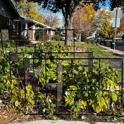 Three garden trellis made from scrap metal by Amber Barbells the Diversion Designers Owner