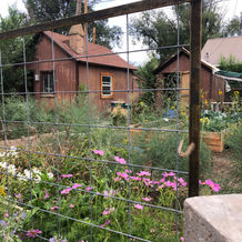 Custom trellis for a local Eagle, Colorado garden created from various types of scrap metal.