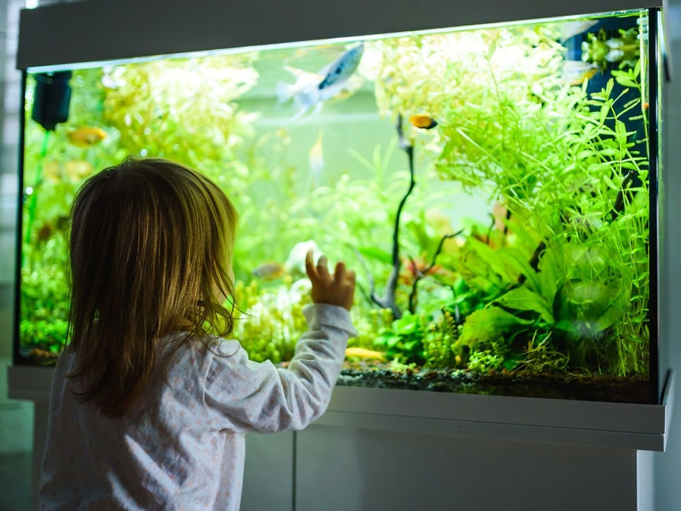 Child in pajamas gazes at a fish tank with green plants and colorful fish. Bright light illuminates the aquarium, creating a curious mood.