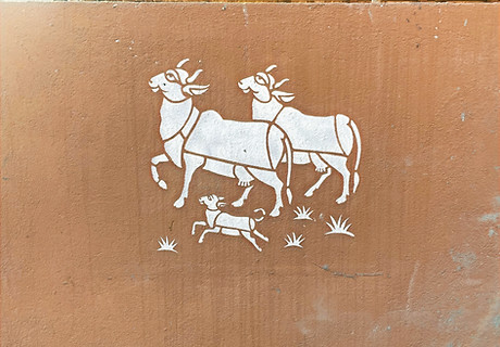 Kuh Familie_edited_edited.jpg