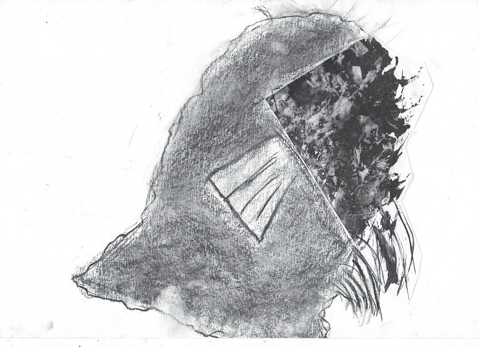Un étrange fragment (2D)