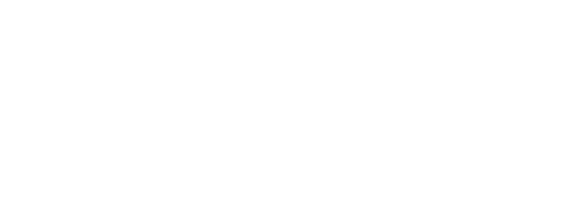 logo negativa.png
