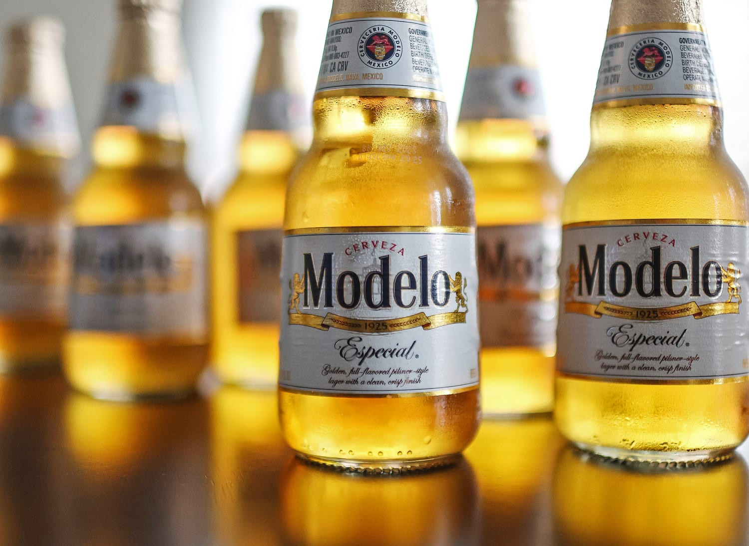 Modelo Negra | Especial