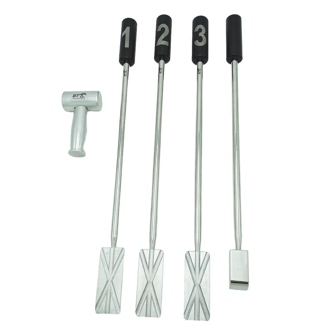 Set de Support et Guides Pics Dentaires