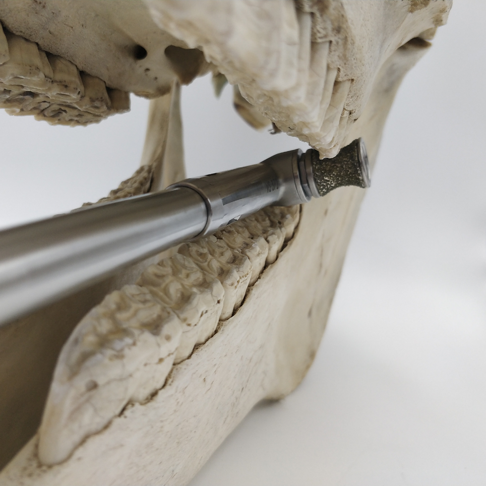 Miniature : Bobine Diamantée 19 mm CLIC