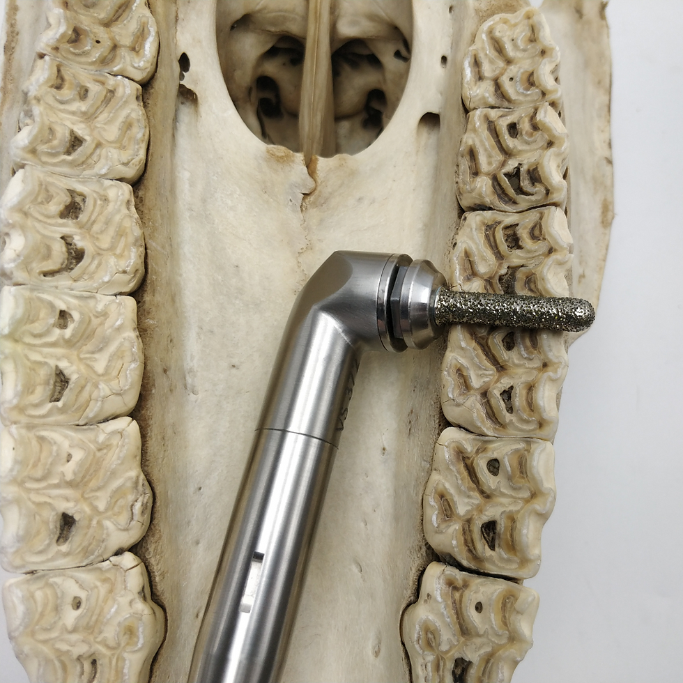 Miniature : Fraise Diastème Longue Diamètre 6.5mm CLIC