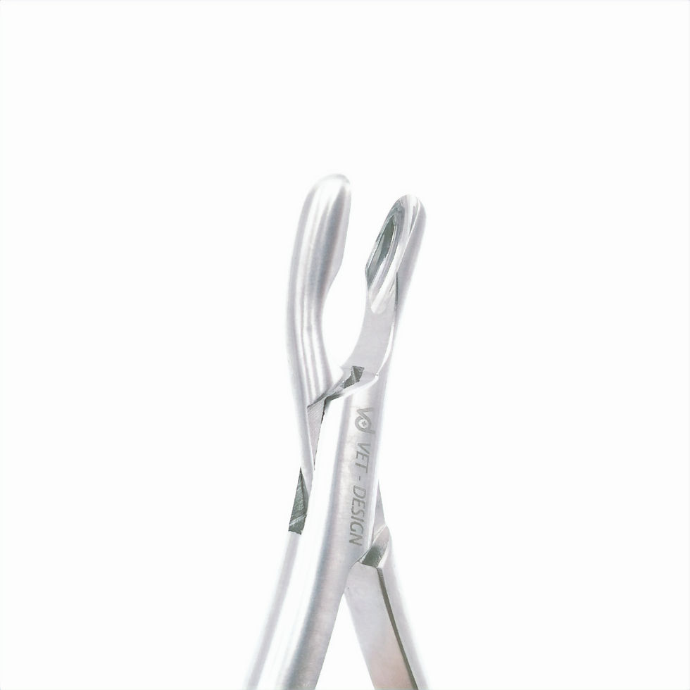 Miniature : Pince Gouge Courbure Frontale