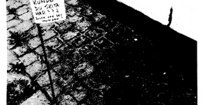 Lars Lofi – Untitled 17-97