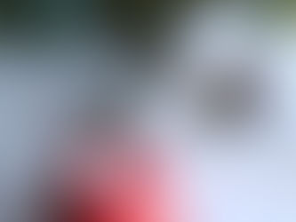 2019年明けましておめでとうございます。