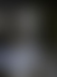 カットワークの付け襟