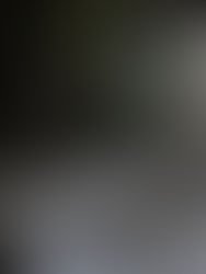 お掃除をしていたら…