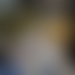 モノグラムのシザーケース