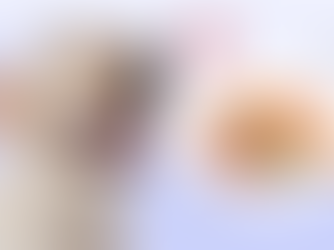 dog looking at a plate of salmon