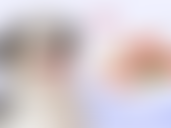 a dog looking happy with ham