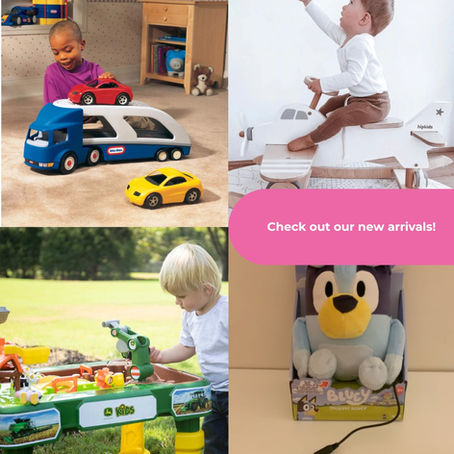 NEW ARRIVALS IN THE TOY LIBRARY!