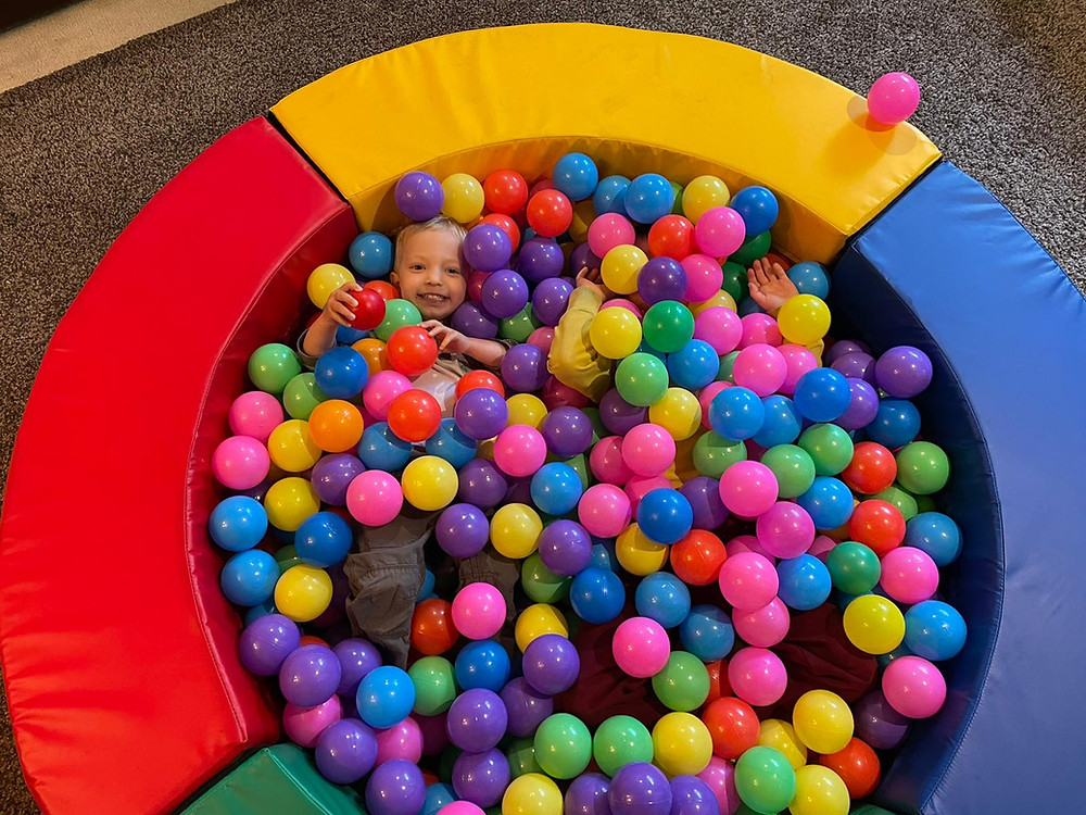 carnegie toy library new ball pit party pack