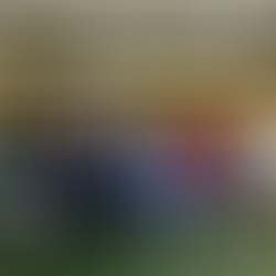 Mit Biss zum Code – 370 Schüler*innen bei spannendem Wettbewerb erfolgreich