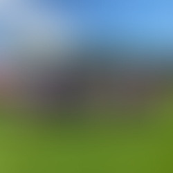 Überwältigende Leistung für den guten Zweck: Das IKG beim Spendenlauf