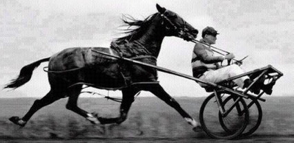 Putting The Cart Before The Horse