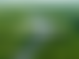 Cẩm nang du lịch Cần Giờ dịp Tết: Bí kiếp vui chơi – Ăn uống – Nghỉ dưỡng hoàn hảo